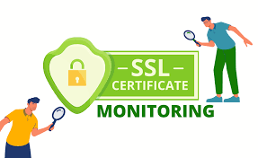 Internal SSL certificate monitoring agent architecture running securely inside a private network