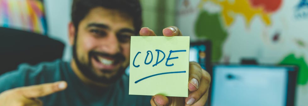 A developer performing 3rd party dependency scanning for security vulnerabilities in code.