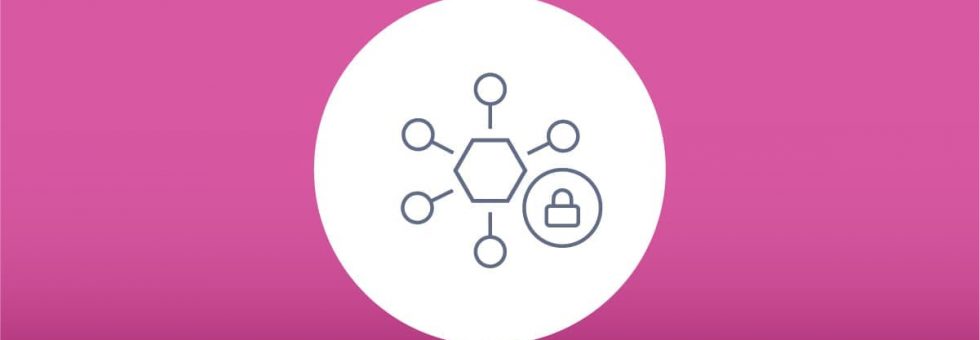 Secure API security connections with authentication, encryption, and monitoring