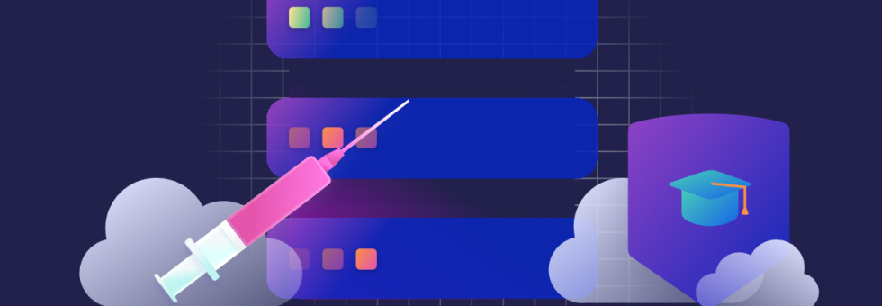 SQL injection prevention workflow for securing web application databases