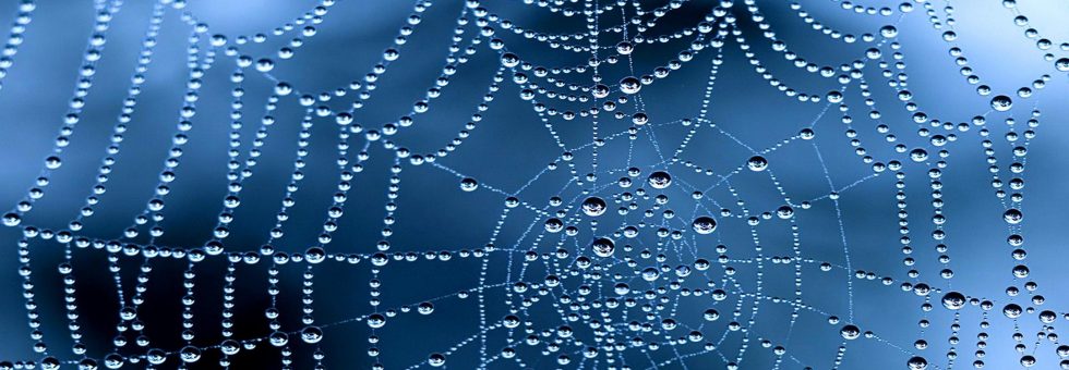 Best practices for secure web application development, including secure coding and session management.